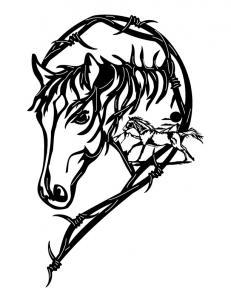 Barbed-Wire-Horse