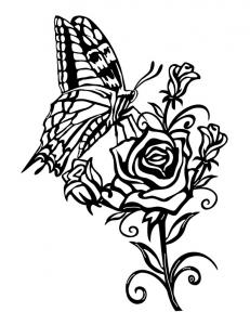 Butterfly-Rose-Scene