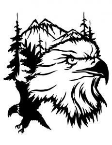 Eagle-Head-Scene