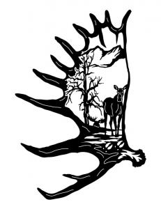 Moose-Antler-Scene